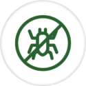 Asset 15